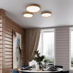 Накладной светильник Sonex Woodi 3019/DL от ImperiumLoft