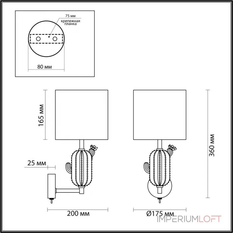 Настенный светильник Odeon Light MODERN ODL_EX24 41 5425/1W E14 1*40W CACTUS Белый