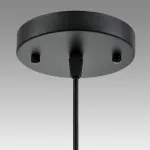 Подвесной светильник Lumion Suspentioni 8056/1A