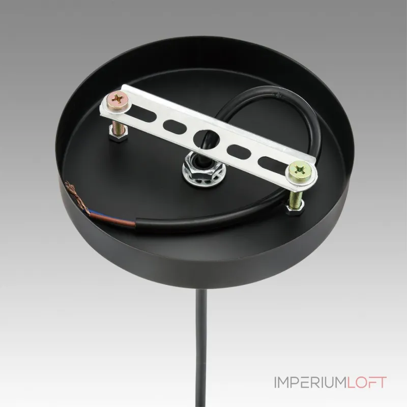 Подвесной светильник Lumion Suspentioni 8056/1A Подвесной светильник Lumion Suspentioni 8056/1A