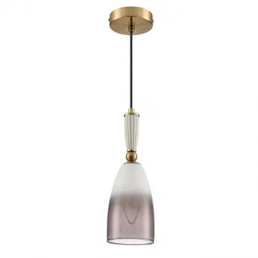 Подвесной светильник Lumion Suspentioni 8285/1A