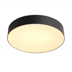 Настенно-потолочный светильник Sonex Basica 7780/DL от ImperiumLoft
