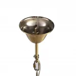 Подвесная люстра Lumion Classi 8346/5