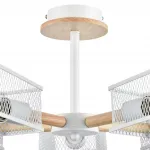 Потолочная люстра Lumion County 8246/5C