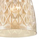 Подвесной светильник Lumion Suspentioni 8056/1A