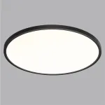 Настенно-потолочный светильник Сонекс MITRA LED SN 54 7660/48L LED 48Вт 3000/4000K D600 IP40 ALFA BLACK