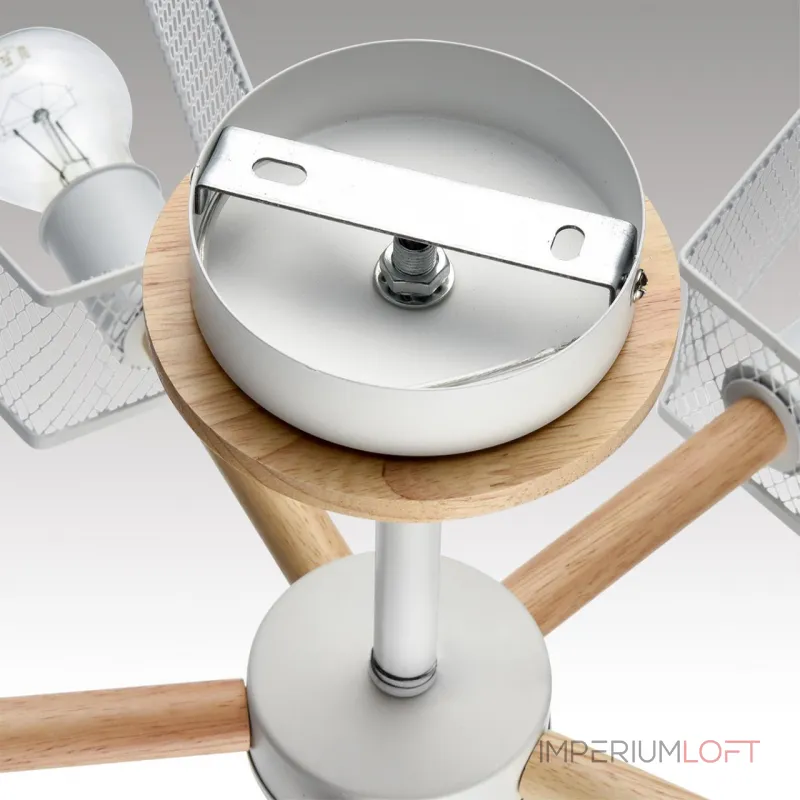 Потолочная люстра Lumion County 8246/5C Потолочная люстра Lumion County 8246/5C