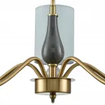 Люстра на штанге Lumion Classi 6590/5
