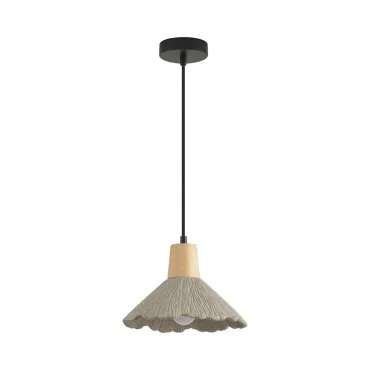 Подвесной светильник Lumion Suspentioni 8351/1A
