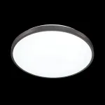Потолочный светильник Sonex Smalli 3012/DL 