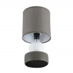 Настольный светильник Lumion Moderni 8182/1T