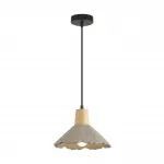 Подвесной светильник Lumion Suspentioni 8351/1A