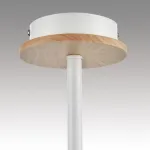 Потолочная люстра Lumion County 8246/5C