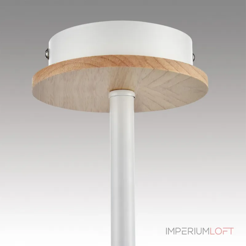 Потолочная люстра Lumion County 8246/5C Потолочная люстра Lumion County 8246/5C