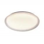 Настенно-потолочный светильник Сонекс Pale 7776/DLN