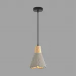 Подвесной светильник Lumion Suspentioni 8351/1B