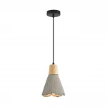 Подвесной светильник Lumion Suspentioni 8351/1B