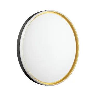 Настенно-потолочный светильник Сонекс Savi 7619/ELN Настенно-потолочный светильник Сонекс Savi 7619/ELN