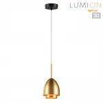 Светильник подвесной Lumion Moderni 359441 от ImperiumLoft