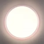 Настенно-потолочный светильник Сонекс Pale 7776/ELN