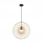 Подвесной светильник Lumion Eco 8383/1