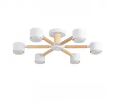 Светильник потолочный Lumion Comfi 8306/6C