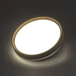 Настенно-потолочный светильник Сонекс Pale 7603/CL