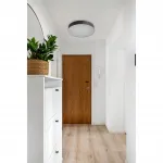 Настенно-потолочный светильник Sonex Basica 7780/EL от ImperiumLoft Настенно-потолочный светильник Sonex Basica 7780/EL от ImperiumLoft