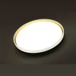 Потолочный светильник Sonex Savi 7619/DL