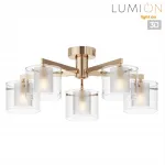 Потолочная люстра Lumion Moderni 6587/5C