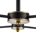Потолочная люстра Lumion LANDA 8249/6C