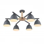 Люстра потолочная Lumion Moderni 5096/12L от ImperiumLoft