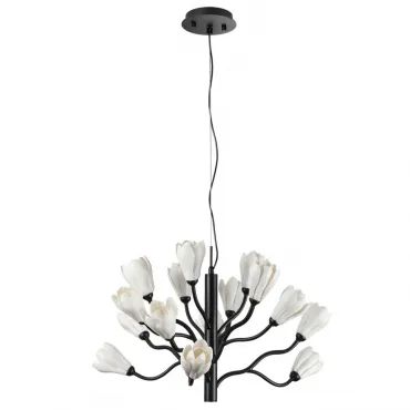 Люстра Odeon Light Modern 5090/15