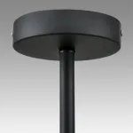 Потолочная люстра Lumion Comfi 8060/6C