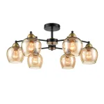Потолочная люстра Lumion LANDA 8249/6C