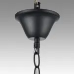 Подвесная люстра Lumion Moderni 8106/8