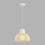 Подвесной светильник Lumion Eco 8368/1A