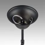 Подвесная люстра Lumion Moderni 8106/8