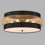 Потолочный светильник Lumion Moderni 359458
