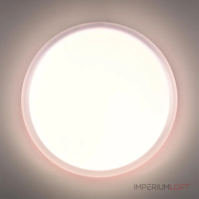 Настенно-потолочный светильник Сонекс Pale 7776/ELN от ImperiumLoft