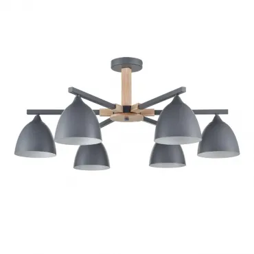 Люстра потолочная Lumion Moderni 8096/6C