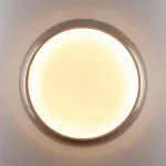 Настенно-потолочный светильник Сонекс Color 7777/DLN от ImperiumLoft