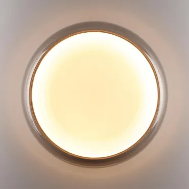 Настенно-потолочный светильник Сонекс Color 7777/DLN от ImperiumLoft