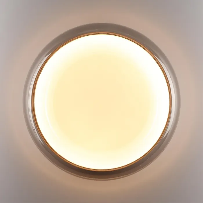 Настенно-потолочный светильник Сонекс Color 7777/DLN от ImperiumLoft