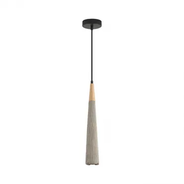 Подвесной светильник Lumion Suspentioni 8351/1C