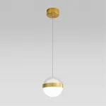 Подвесной светильник Odeon Light L-VISION ODL24 389 5036/12L LED 12W 4000K 600лм RONI 