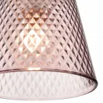 Подвесной светильник Lumion Suspentioni 8048/1A