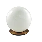 Настольный светильник Odeon Light Magia 7109/1TL