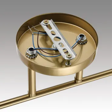 Потолочный светильник Lumion Comfi 6535/28L от ImperiumLoft