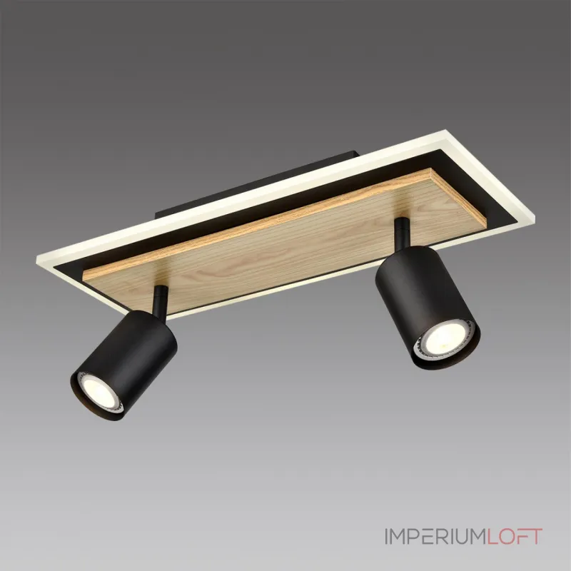 Светильник настенный Lumion Ledio 8025/19WL